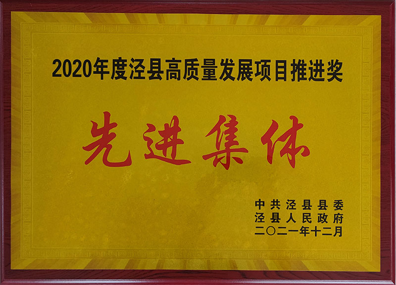 2020年度涇縣高質量發(fā)展項目推進獎先進集休