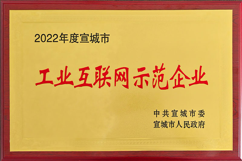 2022年度宣城市工業(yè)互聯(lián)網示范企業(yè)